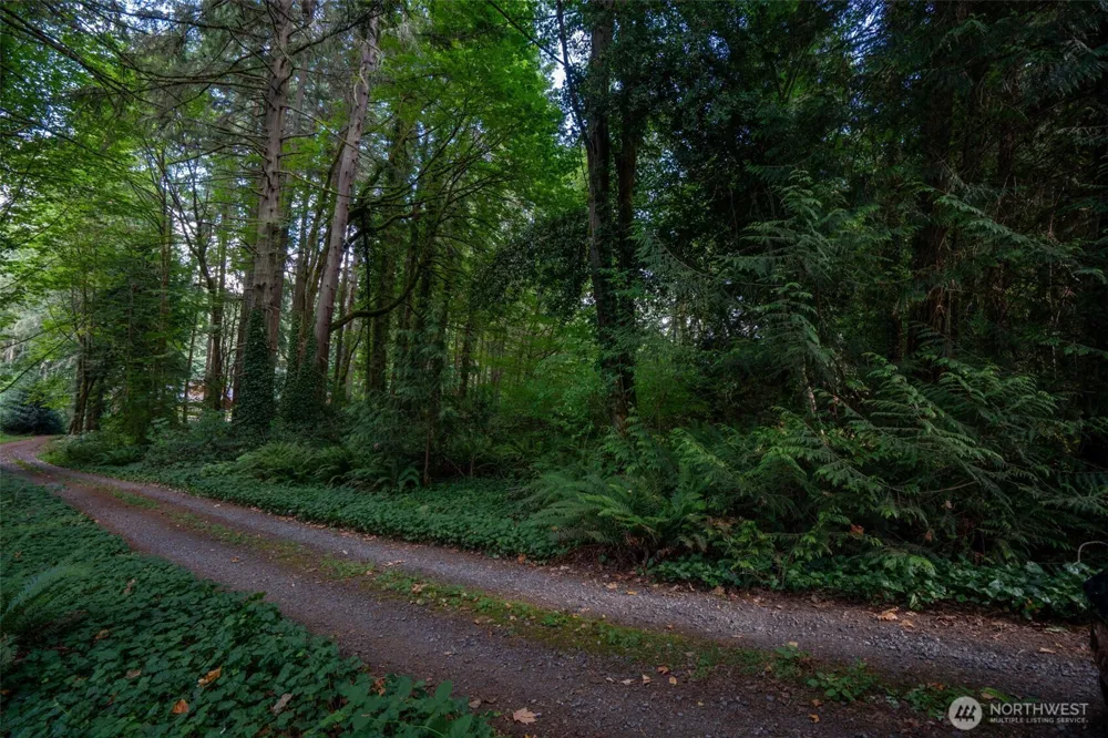5320 New Sweden Avenue NE Bainbridge Island, WA 98110