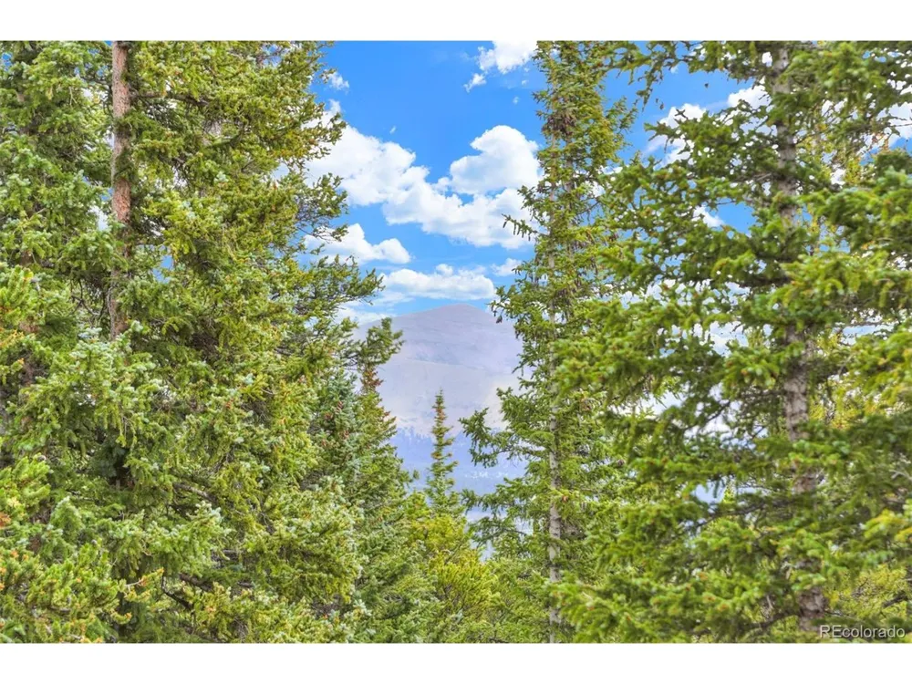 369 Prunes Place Fairplay, CO 80440