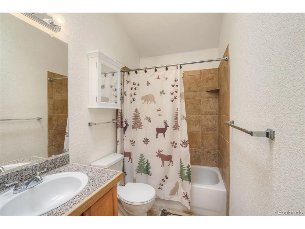 369 Prunes Place Fairplay, CO 80440