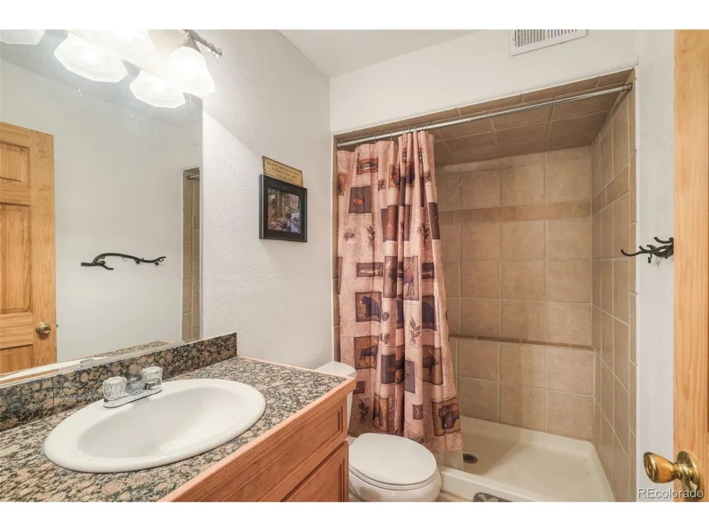 369 Prunes Place Fairplay, CO 80440