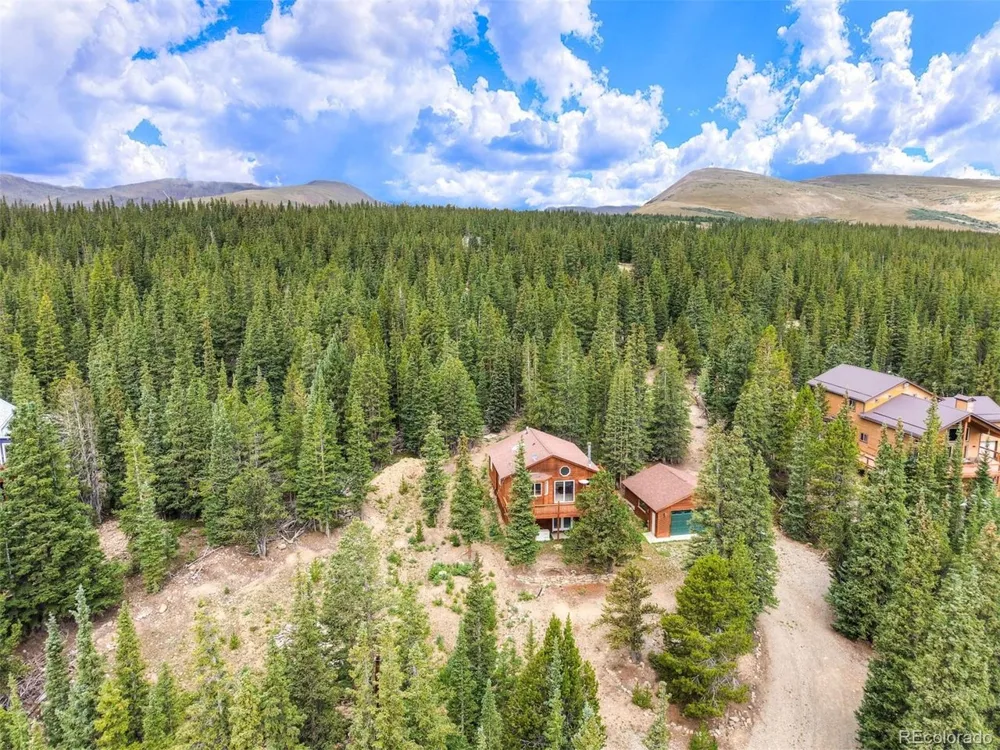 369 Prunes Place Fairplay, CO 80440