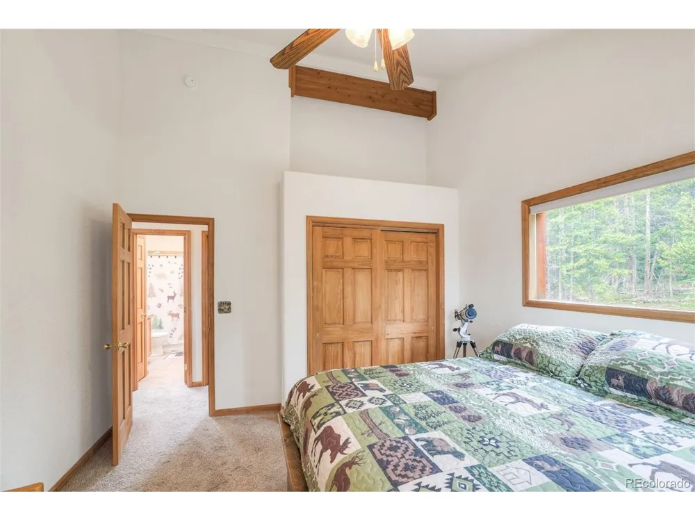 369 Prunes Place Fairplay, CO 80440