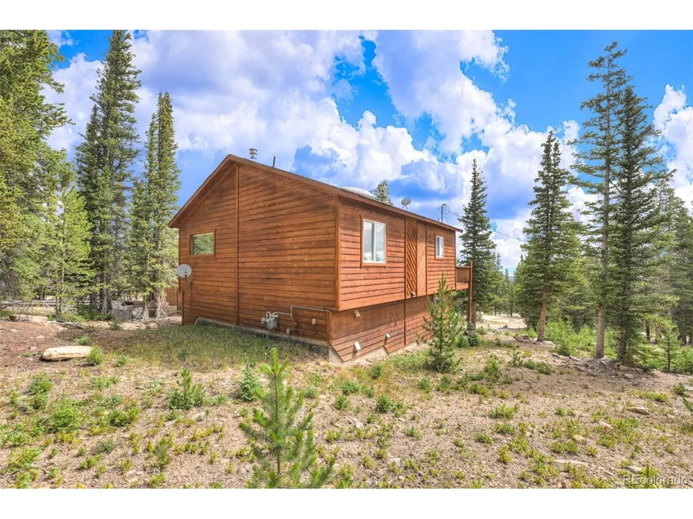 369 Prunes Place Fairplay, CO 80440