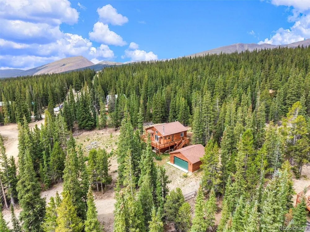 369 Prunes Place Fairplay, CO 80440