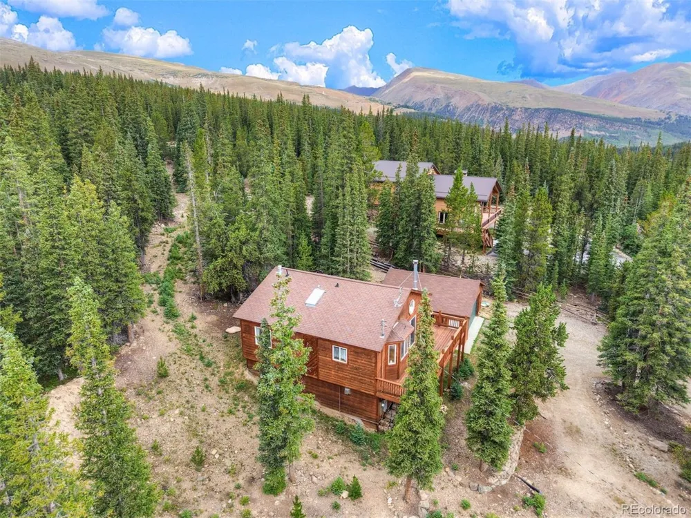 369 Prunes Place Fairplay, CO 80440