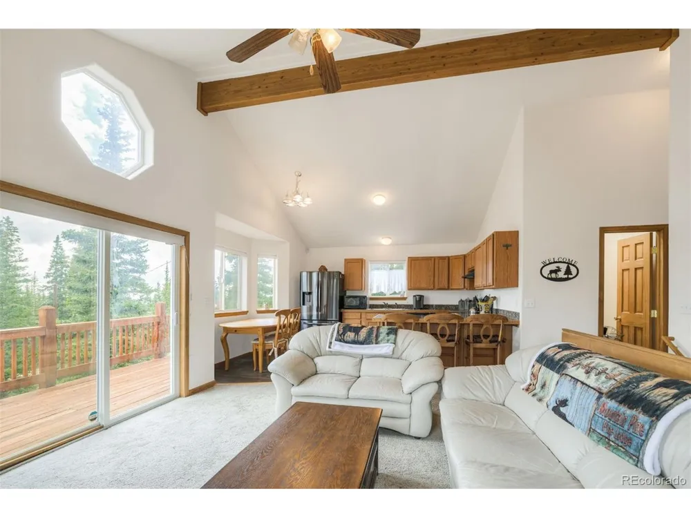 369 Prunes Place Fairplay, CO 80440