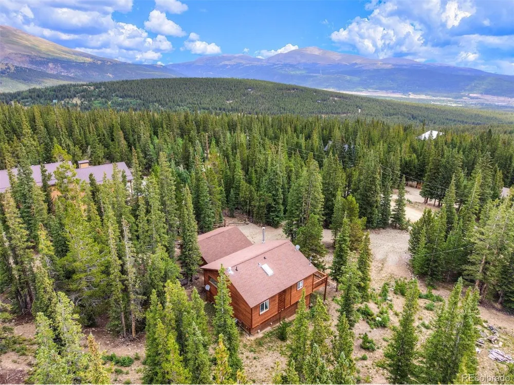369 Prunes Place Fairplay, CO 80440