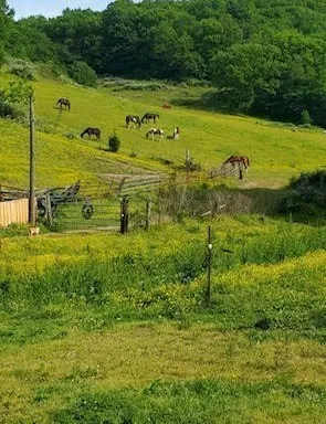 4701 Reed Rd Thompsons Station, TN 37179