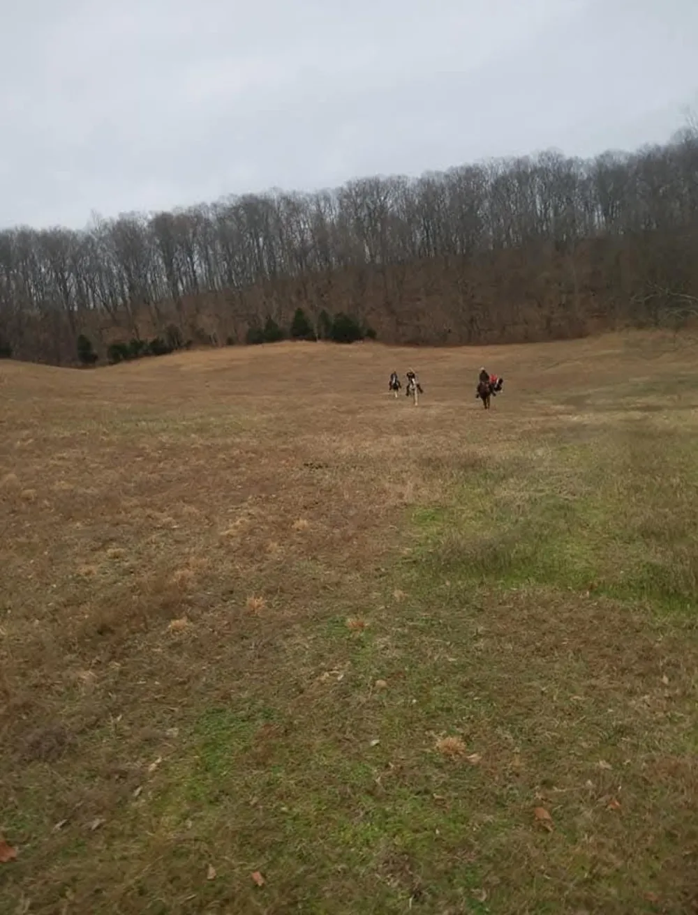 4701 Reed Rd Thompsons Station, TN 37179