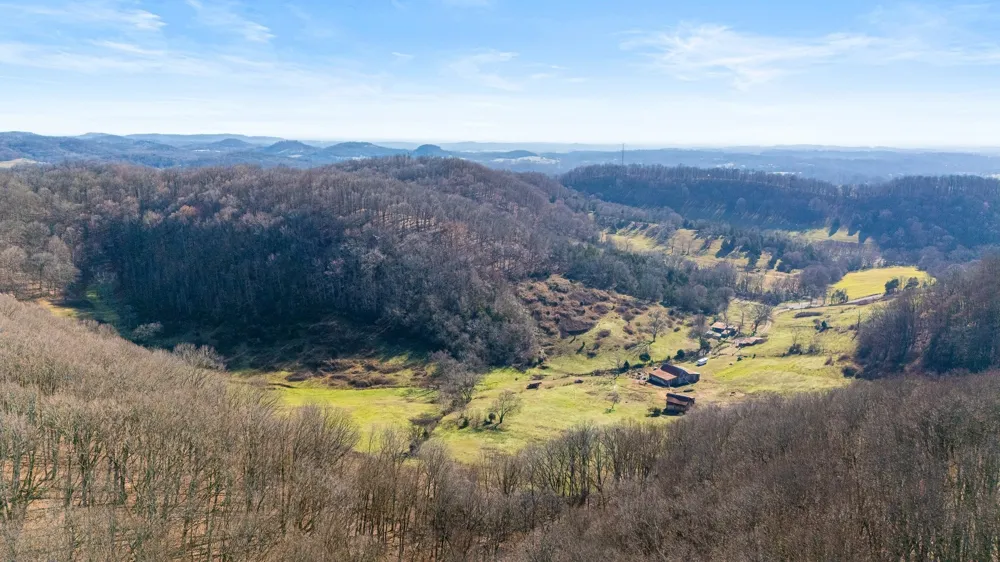 4701 Reed Rd Thompsons Station, TN 37179