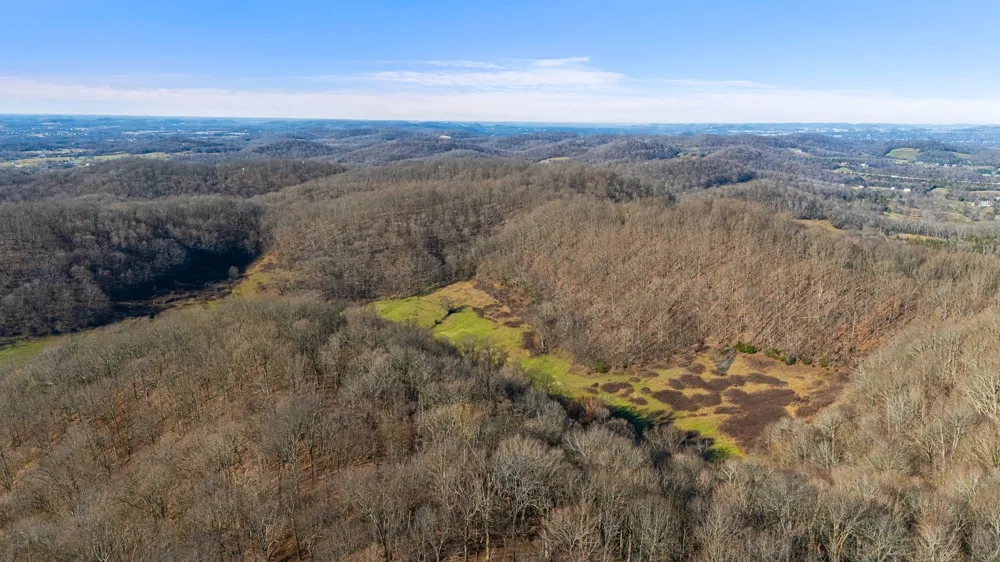 4701 Reed Rd Thompsons Station, TN 37179