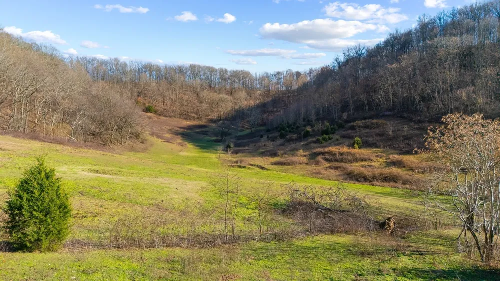 4701 Reed Rd Thompsons Station, TN 37179
