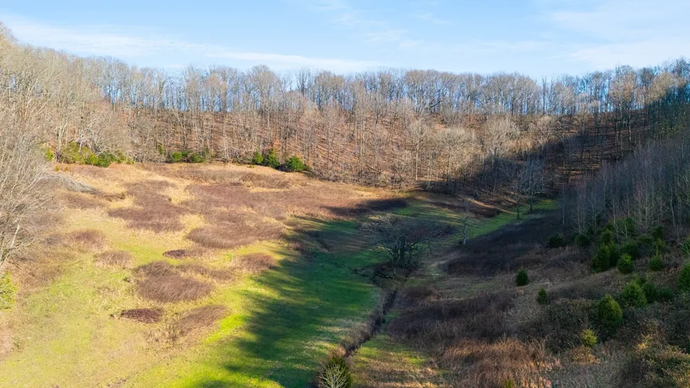4701 Reed Rd Thompsons Station, TN 37179