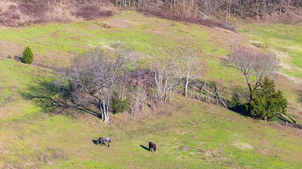 4701 Reed Rd Thompsons Station, TN 37179
