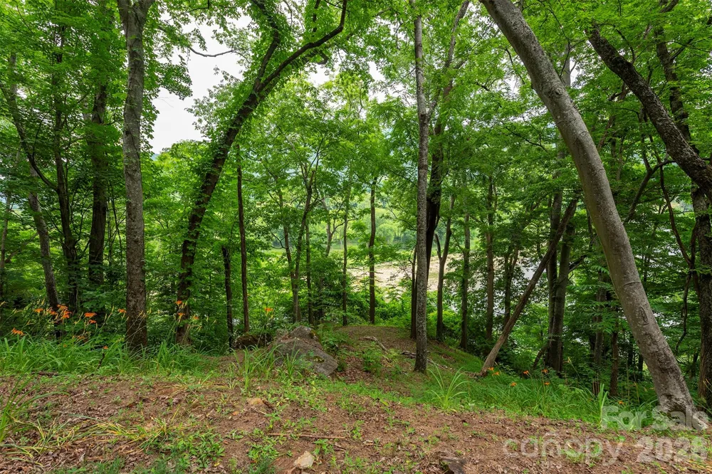 588 US 25/70 Highway Hot Springs, NC 28743