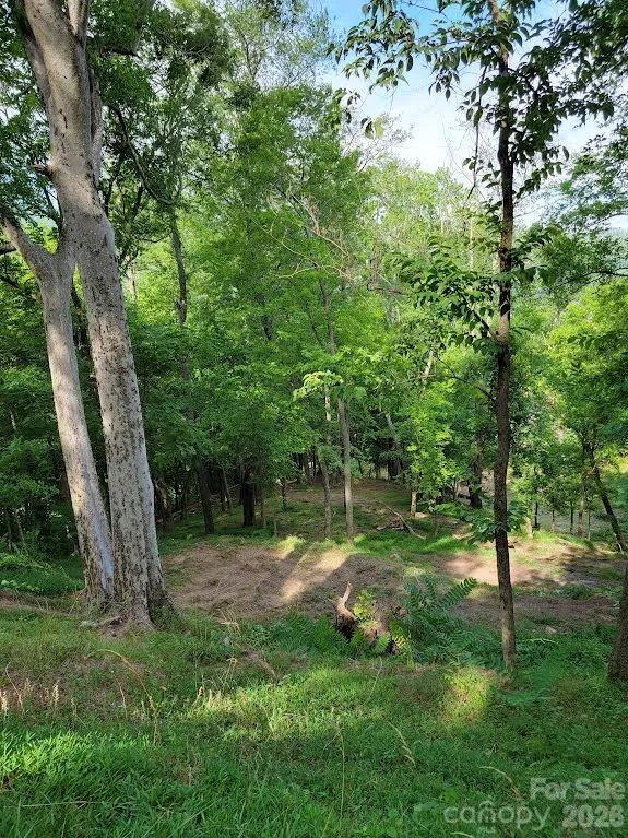 588 US 25/70 Highway Hot Springs, NC 28743