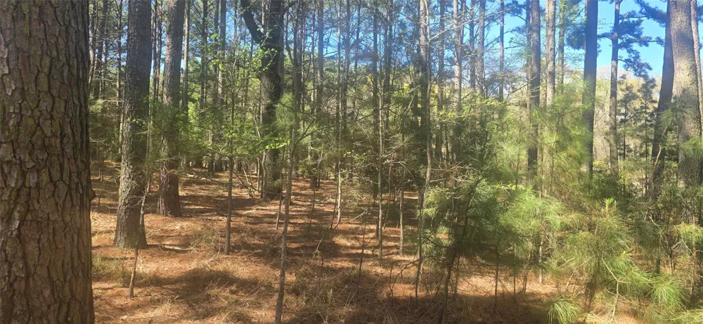 Watters Edge Drive Larue, TX 75770