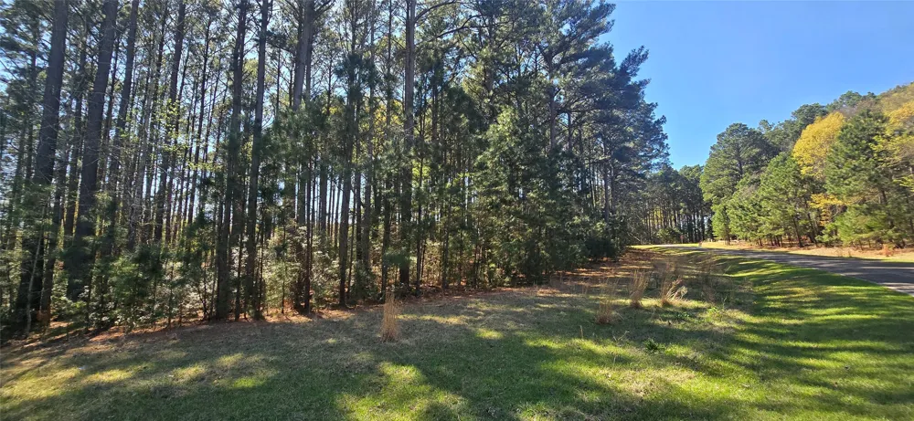 Watters Edge Drive Larue, TX 75770