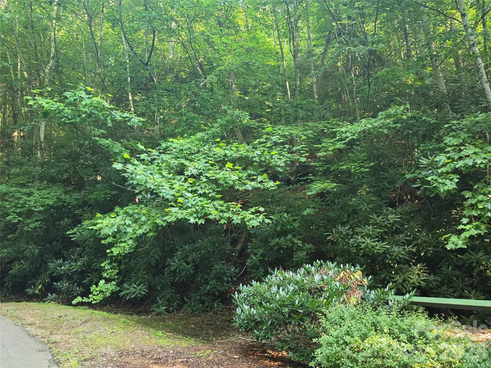 TBD Henry Dingus Way #26 Maggie Valley, NC 28751