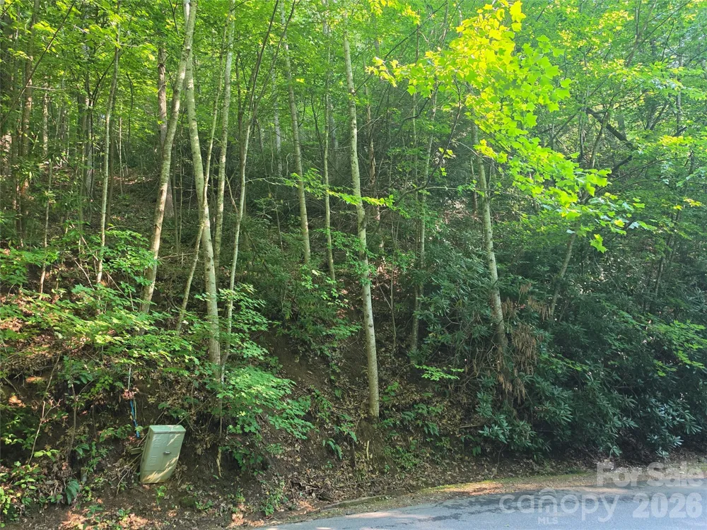 TBD Henry Dingus Way #26 Maggie Valley, NC 28751