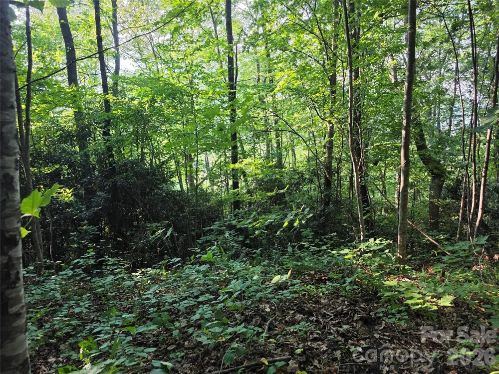 TBD Henry Dingus Way #26 Maggie Valley, NC 28751