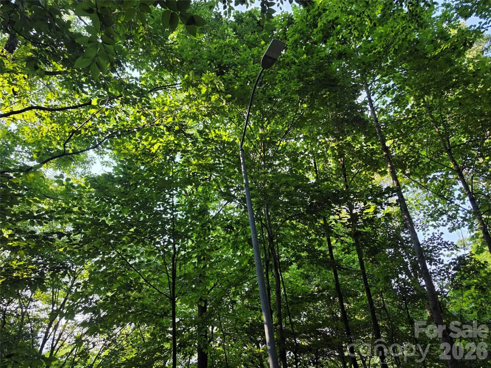 TBD Henry Dingus Way #26 Maggie Valley, NC 28751