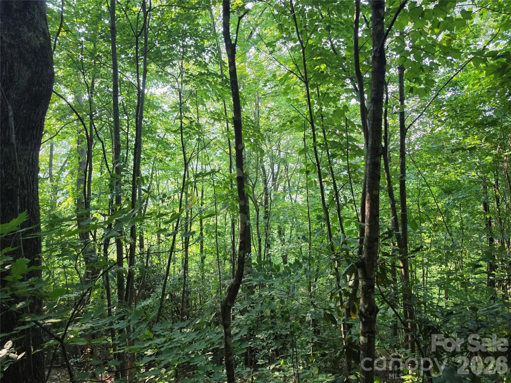 TBD Henry Dingus Way #26 Maggie Valley, NC 28751