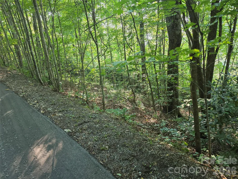 TBD Henry Dingus Way #26 Maggie Valley, NC 28751