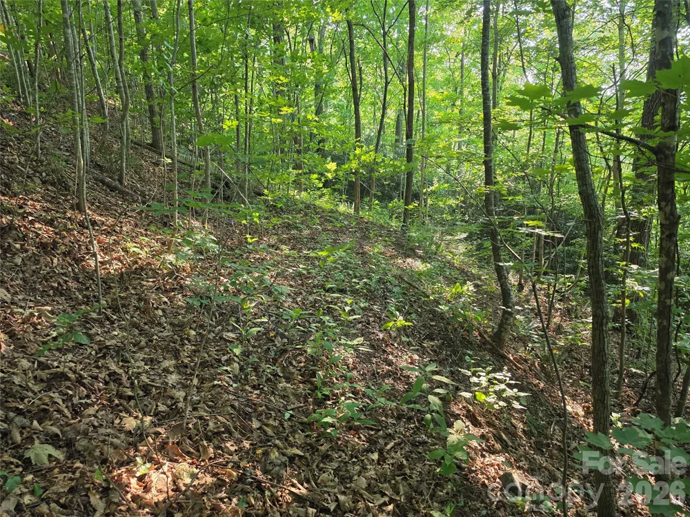 TBD Henry Dingus Way #26 Maggie Valley, NC 28751
