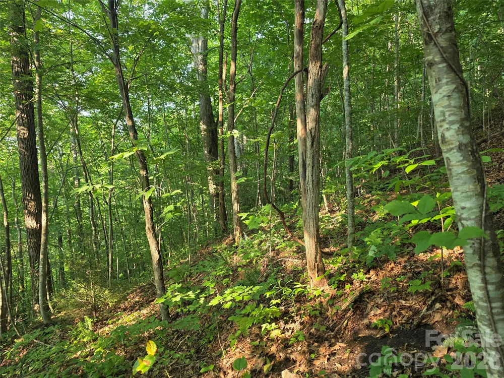 TBD Henry Dingus Way #26 Maggie Valley, NC 28751