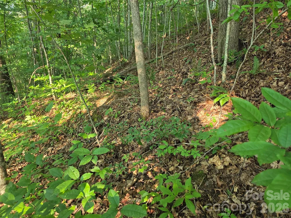 TBD Henry Dingus Way #26 Maggie Valley, NC 28751