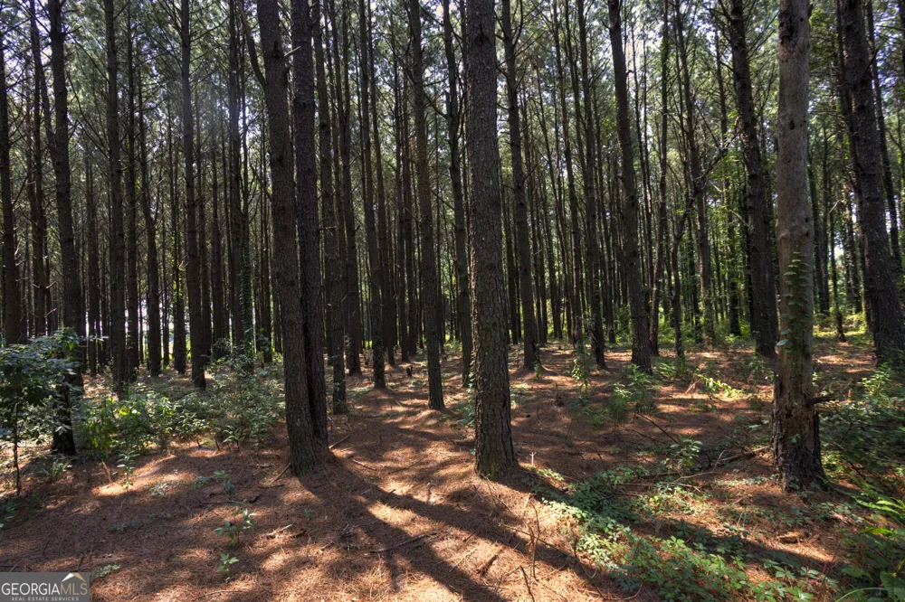 0 Northern County Line RD Unadilla, GA 31091