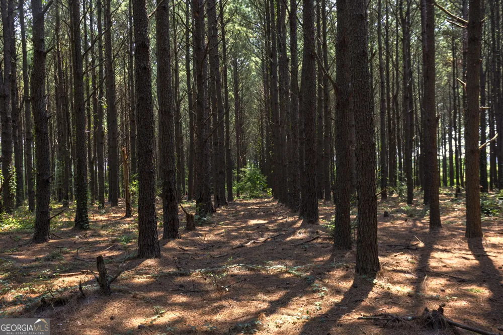 0 Northern County Line RD Unadilla, GA 31091