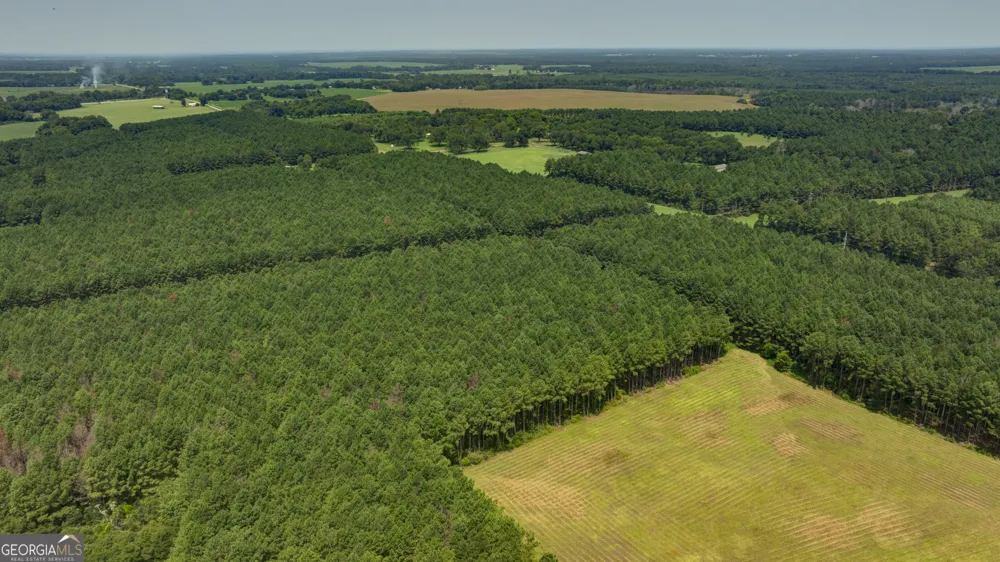 0 Northern County Line RD Unadilla, GA 31091