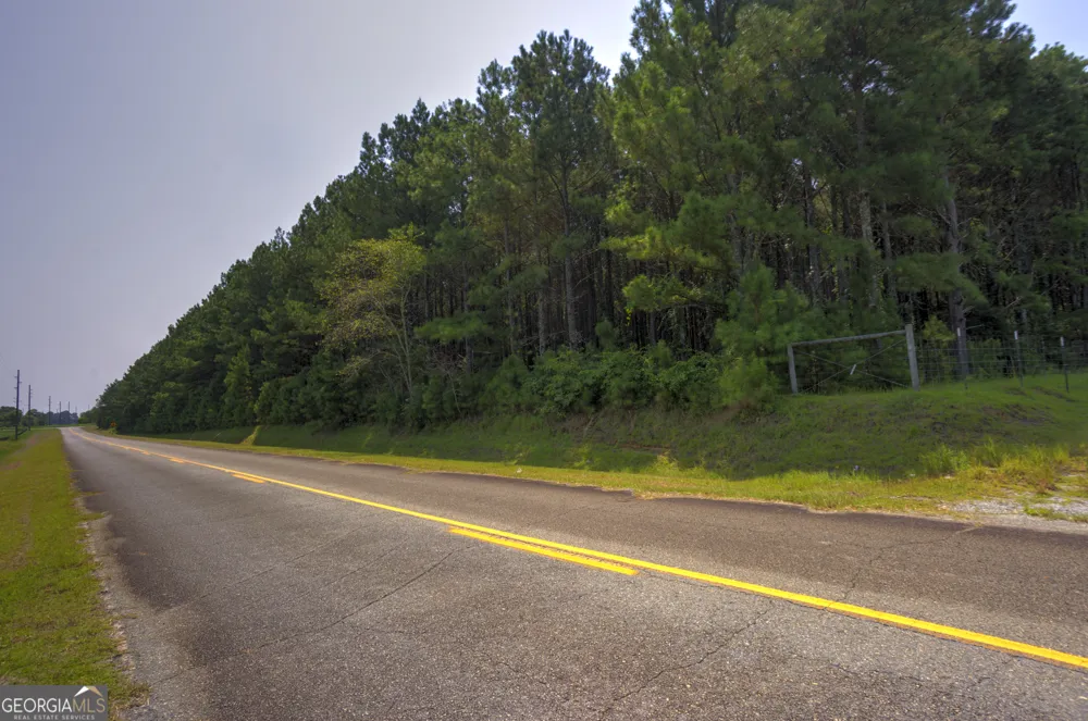 0 Northern County Line RD Unadilla, GA 31091