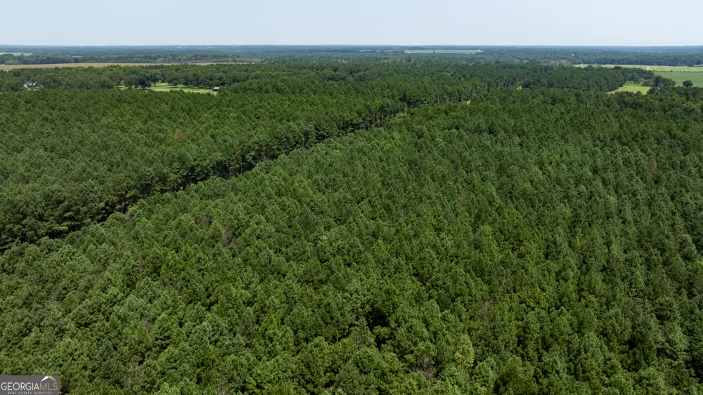 0 Northern County Line RD Unadilla, GA 31091