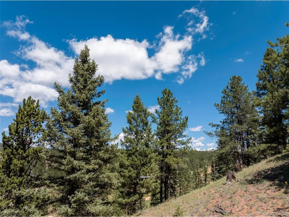 1676 Pathfinder Road Florissant, CO 80816