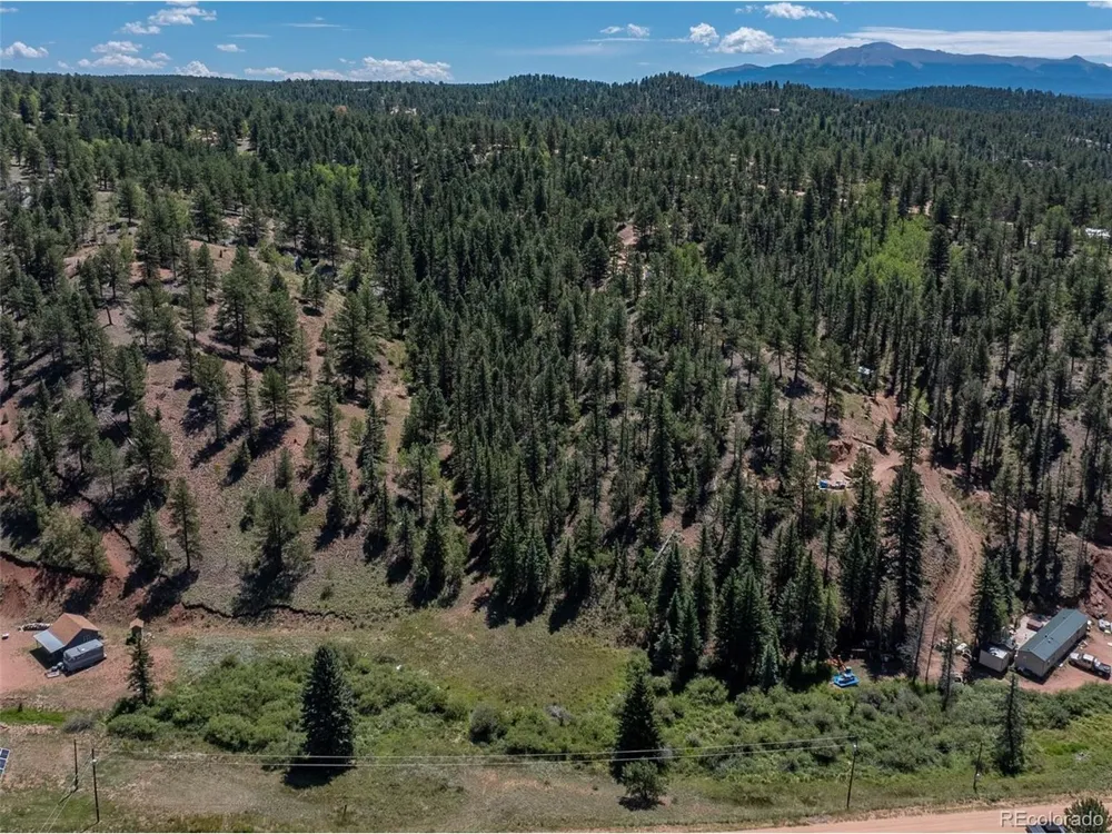 1676 Pathfinder Road Florissant, CO 80816