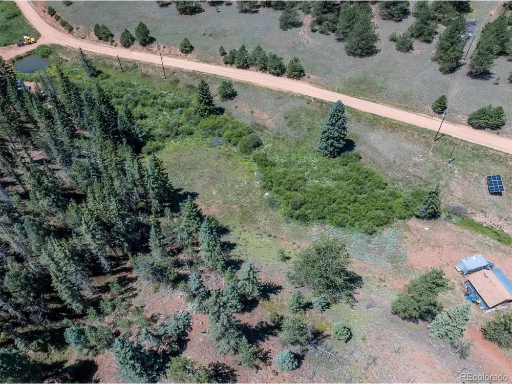 1676 Pathfinder Road Florissant, CO 80816