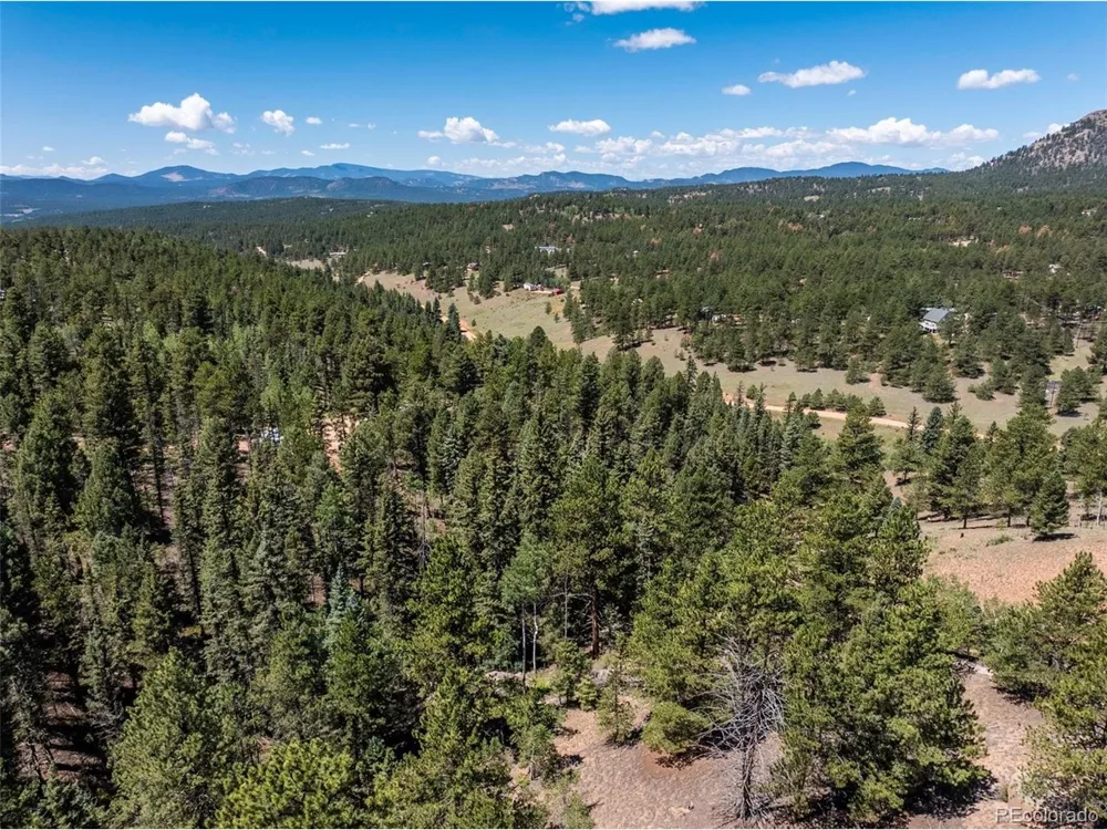 1676 Pathfinder Road Florissant, CO 80816