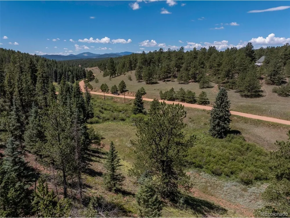 1676 Pathfinder Road Florissant, CO 80816