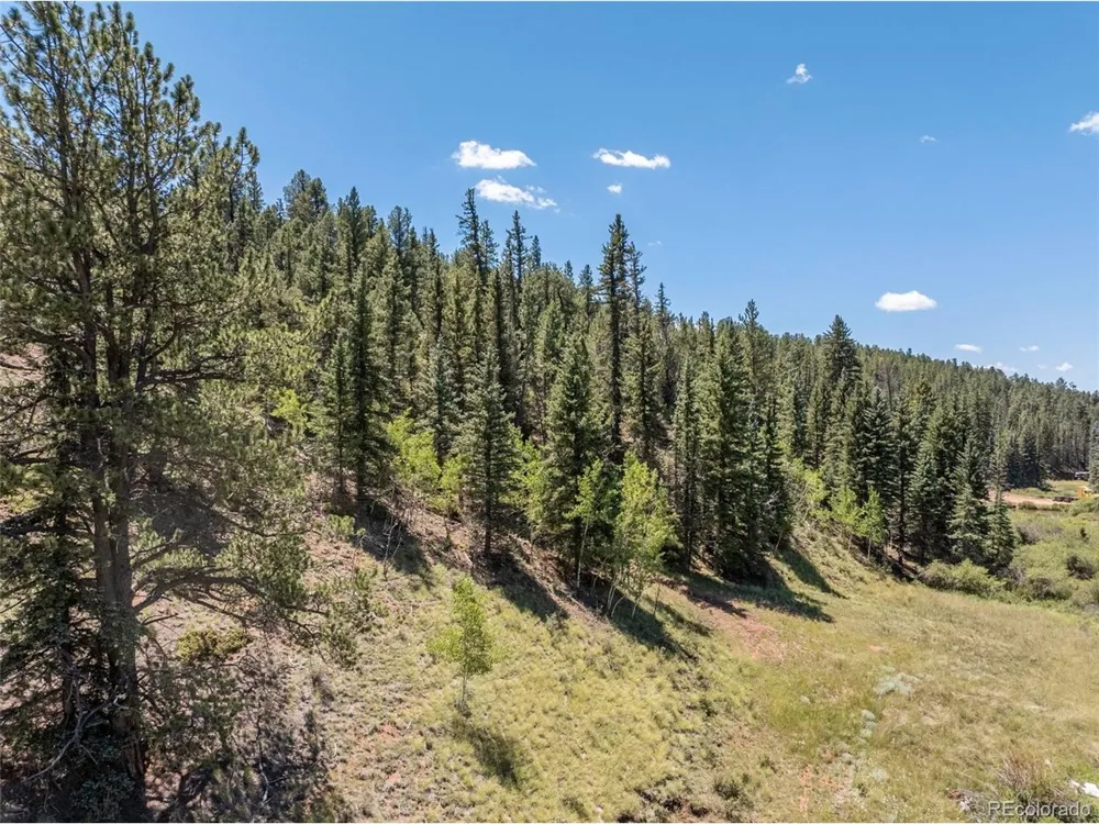1676 Pathfinder Road Florissant, CO 80816