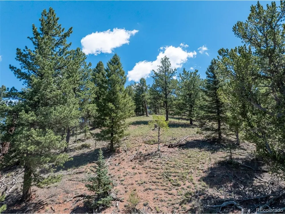 1676 Pathfinder Road Florissant, CO 80816