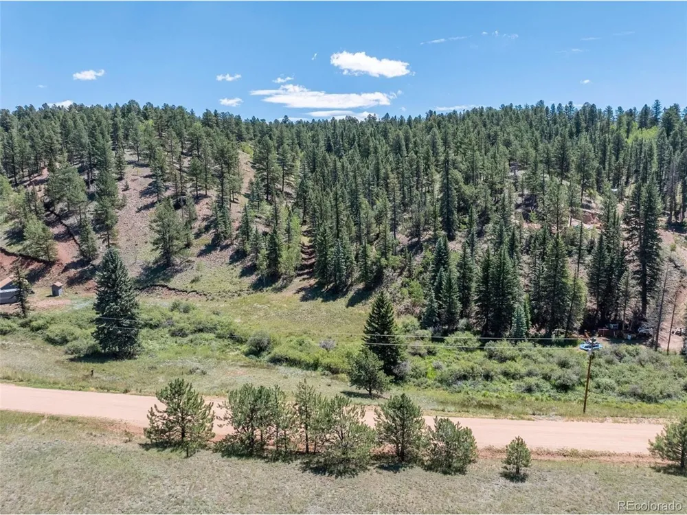 1676 Pathfinder Road Florissant, CO 80816