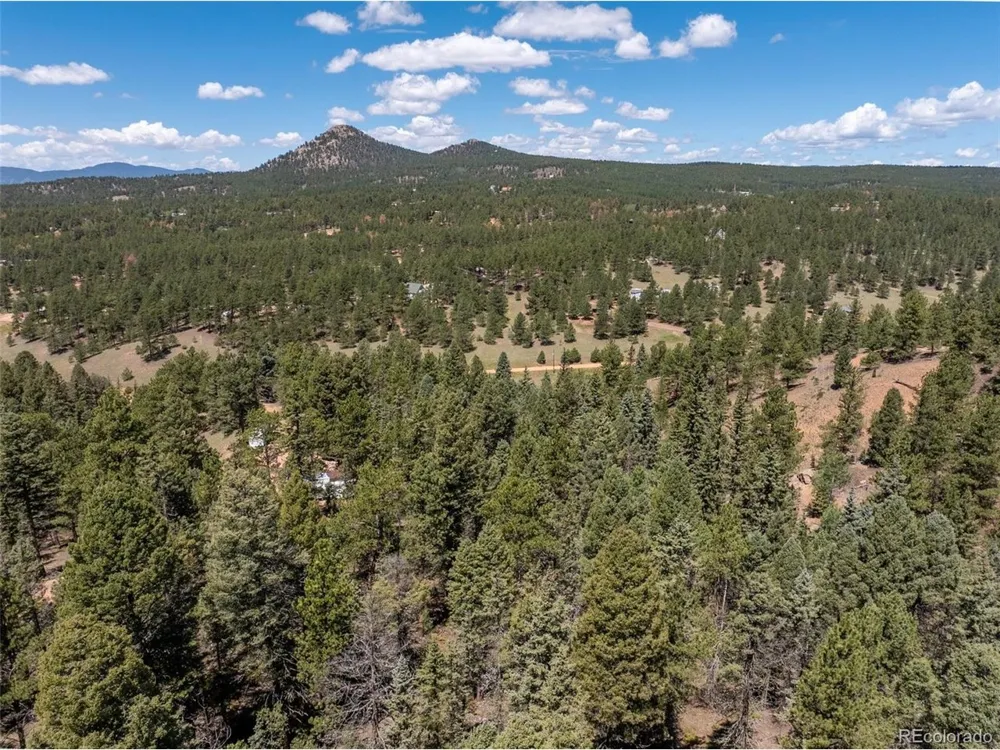 1676 Pathfinder Road Florissant, CO 80816