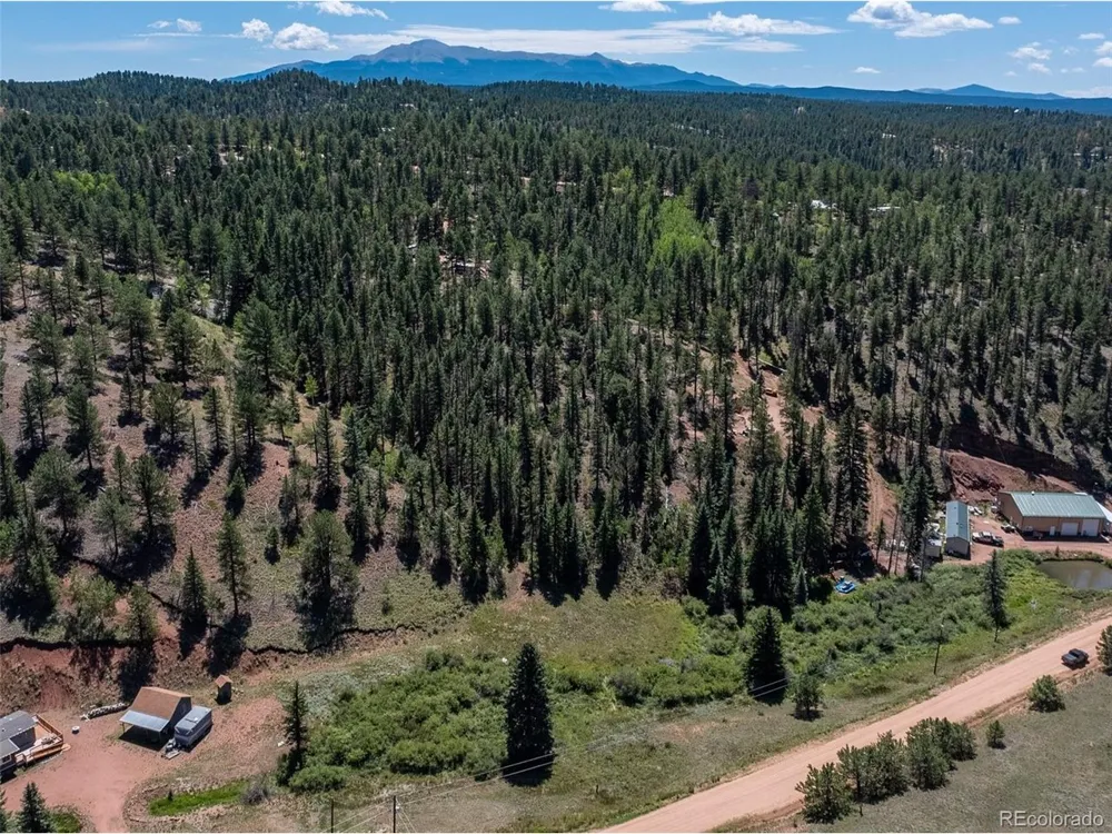 1676 Pathfinder Road Florissant, CO 80816