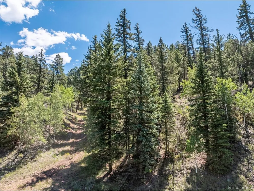 1676 Pathfinder Road Florissant, CO 80816