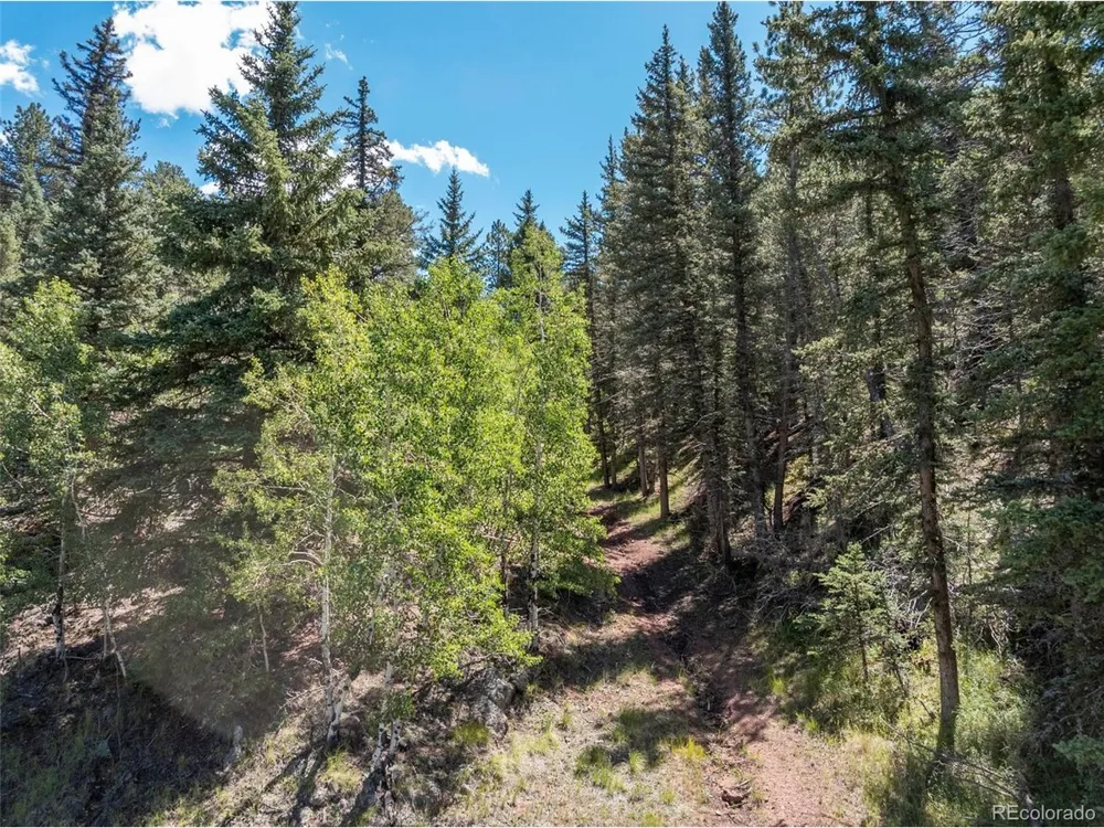 1676 Pathfinder Road Florissant, CO 80816