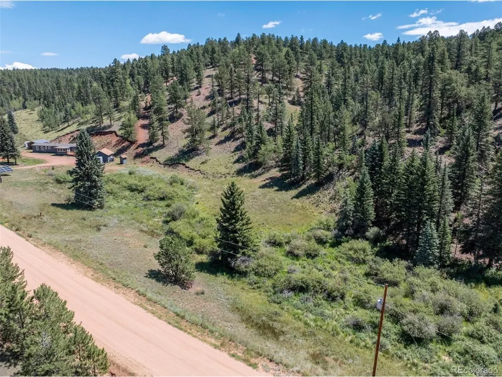 1676 Pathfinder Road Florissant, CO 80816
