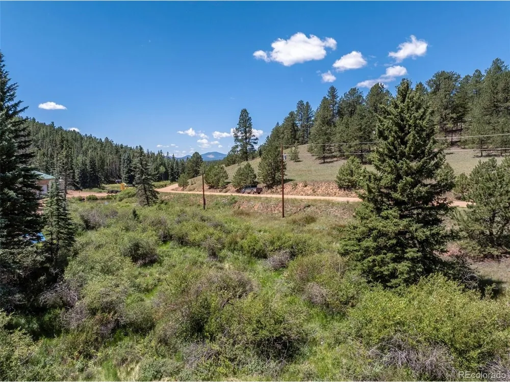 1676 Pathfinder Road Florissant, CO 80816